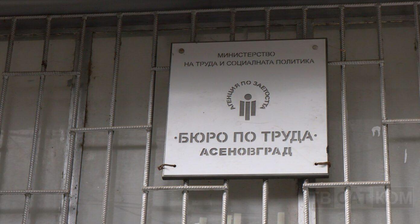 Youth Employment Programme