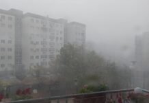 Буря събори 5 дървета в Асеновградско