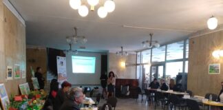 Над 10 работодатели представиха своята дейност пред търсещи работа от Асеновград