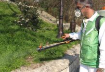 Близо 500 декара тревни площи на територията на Асеновград и околността са третирани против кърлежи до този момент