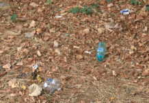 И Асеновград ще се включи в кампанията „Да изчистим България ЗАЕДНО“