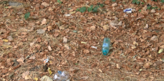 И Асеновград ще се включи в кампанията „Да изчистим България ЗАЕДНО“