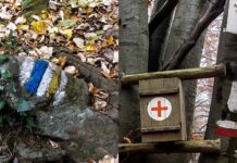 Еко акции „Зелена неделя” започват „Устремени”