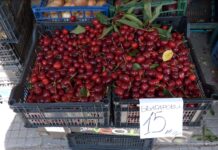 Преди Черешова задушница, цената на черешите в Асеновград е около 15 лв./кг.