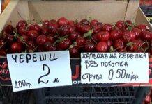 От 4 до 20 лв. за килограм череши на пазара в Асеновград – 50 стотинки струва да опиташ от плода
