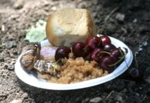 Черешова задушница е