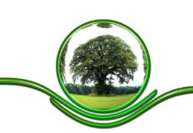 Финансират 50 проекта от ПУДООС в пловдивско – 4 от тях в община Асеновград