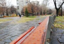 Община Асеновград ще засади 100 дървета