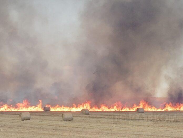 d2527a474b446094dce49aba8d0a2571