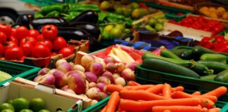 Почти 65 млн. лева са преведени за обвързано подпомагане за плодове и зеленчуци