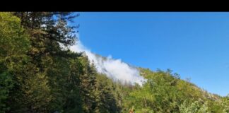 Голям пожар до с.Хвойна