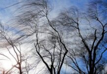 Десетки сигнали в пловдивско след бурните ветрове – някои от случаите се отнасят за Асеновград