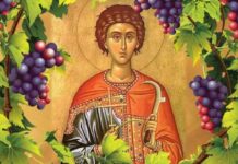 Днес почитаме Св.Трифон- покровителя на лозарите и винарите