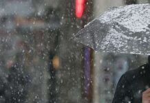 Времето днес