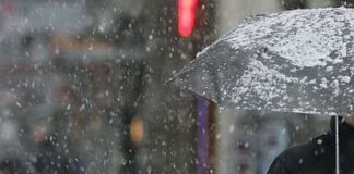 Времето днес