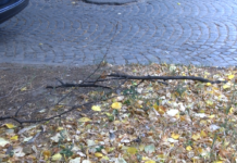 Жълт код за бурен вятър в Асеновградско днес