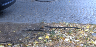 Жълт код за бурен вятър в Асеновградско днес