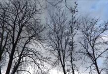 Жълт код за силен вятър в Пловдивско, температурите падат