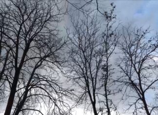 Жълт код за силен вятър в Пловдивско, температурите падат