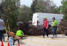 „Гората.бг” подари 17 000 дръвчета на Асеновград