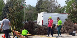 „Гората.бг” подари 17 000 дръвчета на Асеновград