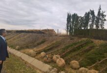 700 кипариса ще пазят от снегонавявания участък от АМ „Тракия“