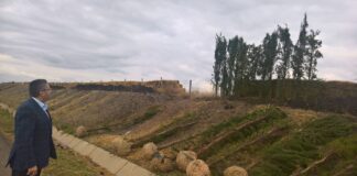 700 кипариса ще пазят от снегонавявания участък от АМ „Тракия“