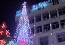 Грейна коледното дръвче и в Асеновград