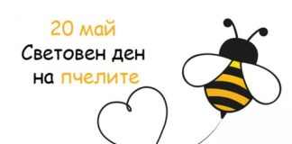 Световен ден на пчелите
