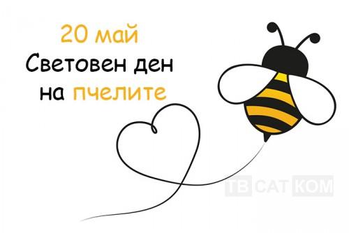 den-na-pchelite-515237-500x334