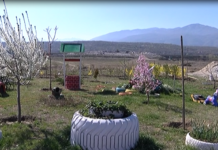 Проучват нагласите на асеновградчани за кандидатстване с проект за компостиращи инсталации