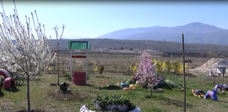 Проучват нагласите на асеновградчани за кандидатстване с проект за компостиращи инсталации