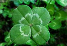 Днес е петък 13-ти