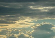 Времето днес