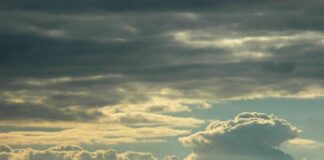 Времето днес