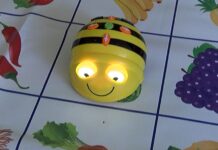 С пчеличката-робот “Bee-Bot” се запознаха днес учениците от ОУ „Отец Паисий“ в Асеновград