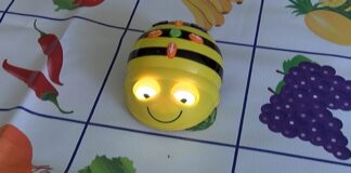 С пчеличката-робот “Bee-Bot” се запознаха днес учениците от ОУ „Отец Паисий“ в Асеновград