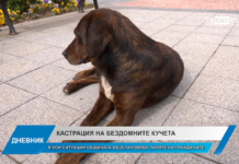 Дневник 04.06.2025