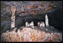 От утре пещерата „Добростански бисер“ отваря врати за посетители