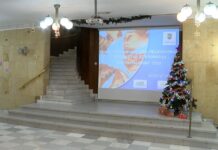 Близо 20 са доброволческите инициативи, номинирани за наградите „Донка Пашкова“