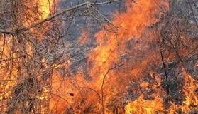 Пожар в землището на село Яврово