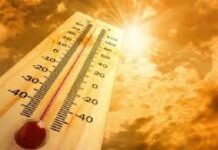 Съвети за безопасност през летните горещини