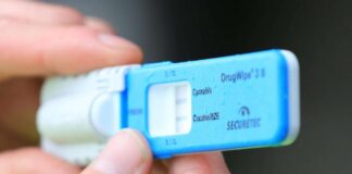 Заловиха четирима дрогирани шофьори