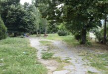 Стартира обработването на зелените площи срещу кърлежи в Асеновград