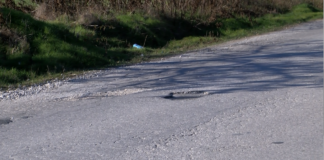 Изкърпват дупките на пътя Първомай-Асеновград при подходящо време