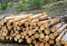 Предвиждат се промени в изискванията и контрола на дървесината за битово отопление