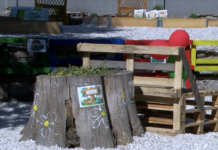 Еко кът финансиран по ПУДООС бе изграден в ОУ „Отец Паисий“ – Асеновград