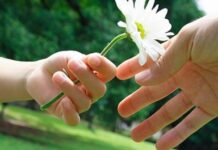 Днес е Световният ден на добротата