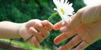 Днес е Световният ден на добротата