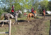 За втора поредна година Асеновград ще е домакин на Държавно първенство по конен спорт